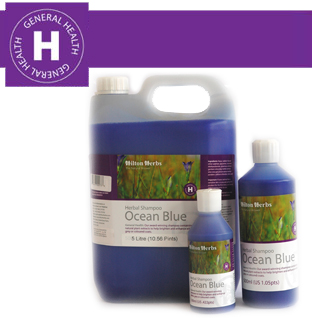 Hilton Herbs Equine General Health Ocean Blue Shampoo Hilton Herbs Equine General Health Ocean Blue Shampoo