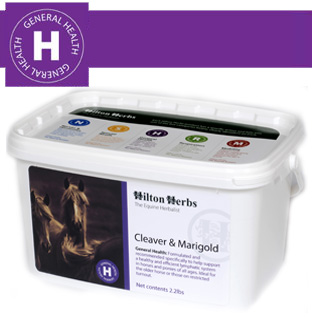 Hilton Herbs Equine General Health Cleaver & Marigold 