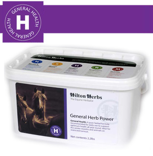 Hilton Herbs Equine General Health - General Health Power 
