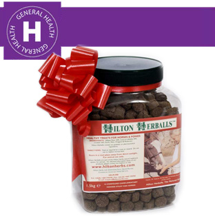 Hilton Herbs Equine General Health - Herballs