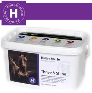 Hilton Herbs Equine General Health - Thrive & Shine Linseed & Fenugreek Hilton Herbs Equine General Health - Thrive & Shine Linseed & Fenugreek