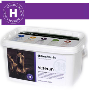 Hilton Herbs Equine General Health - Veteran Hilton Herbs Equine General Health - Veteran