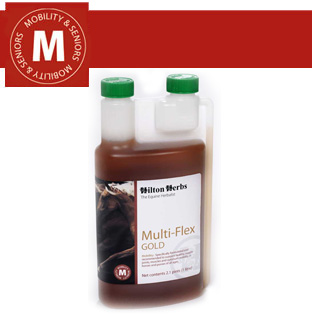 Hilton Herbs Equine Mobility Multi Flex Gold Hilton Herbs Equine Mobility Multi Flex Gold