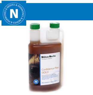 Hilton Herbs - Equine - Nerves & Hormones - Confidence Plus Gold 