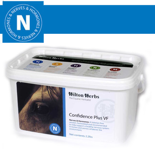 Hilton Herbs Equine Nerves Hormones Confidence Plus Valerian Free