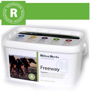Hilton Herbs - Equine Respiration Freeway