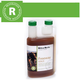 Hilton Herbs Equine Respiration Freeway Gold