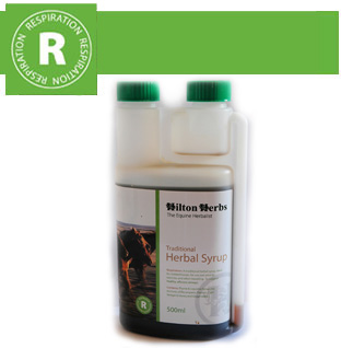 Hilton Herbs Equine Respiration Traditional Herbal Syrup