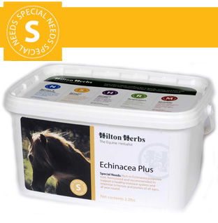 Hilton Herbs Equine Special Needs - Echinacea Plus Hilton Herbs Equine Special Needs - Echinacea Plus