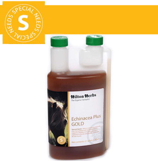 Hilton Herbs Equine Special Needs - Echinacea Plus Gold