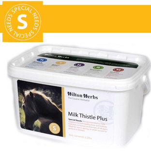 Hilton Herbs Equine Special Needs Milk Thistle Plus Hilton Herbs Equine Special Needs Milk Thistle Plus