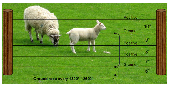 Electrobraid Fence for Sheep Electrobraid Fence for Sheep