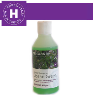 Hilton Herbs - General Health - Ocean Green Shampoo Hilton Herbs - General Health - Ocean Green Shampoo