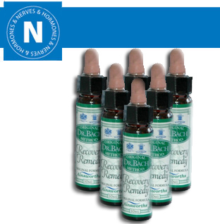 Hilton Herbs Canine Nerves & Hormones Bach Flower Remedy Hilton Herbs Canine Nerves & Hormones Bach Flower Remedy