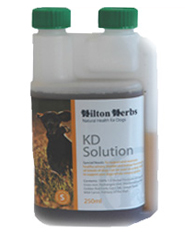 Hilton Herbs Canine Special Needs - KD Solution Hilton Herbs Canine Special Needs - KD Solution
