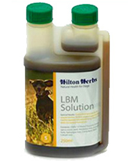 Hilton Herbs Canine Special Needs - LBM Solution Hilton Herbs Canine Special Needs - LBM Solution