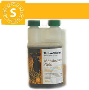 Hilton Herbs Canine Special Needs Metabolyte Gold Hilton Herbs Canine Special Needs Metabolyte Gold