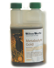 Hilton Herbs Canine Special Needs - Metabolyte Gold Hilton Herbs Canine Special Needs - Metabolyte Gold