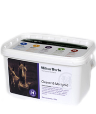Hilton Herbs Equine General Health - Cleaver & Marigold Hilton Herbs Equine General Health - Cleaver & Marigold