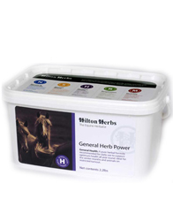 Hilton Herbs Equine General Health - General Herb Power Hilton Herbs Equine General Health - General Herb Power