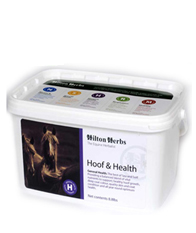 Hilton Herbs Equine General Health - Hoof & Health Hilton Herbs Equine General Health - Hoof & Health