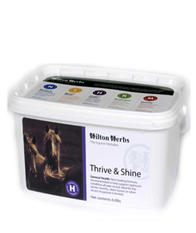 Hilton Herbs Equine General Health - Thrive & Shine - Linseed & Fenugreek Hilton Herbs Equine General Health - Thrive & Shine - Linseed & Fenugreek