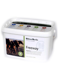 Hilton Herbs Equine Respiration -  Freeway