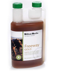 Hilton Herbs Equine Respiration -  Freeway Gold