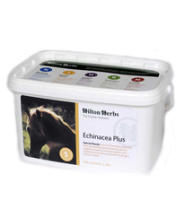 Hilton Herbs Equine Special Needs - Echinacea Plus 