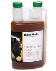 Hilton Herbs Equine Special Needs - Echinacea Plus Gold