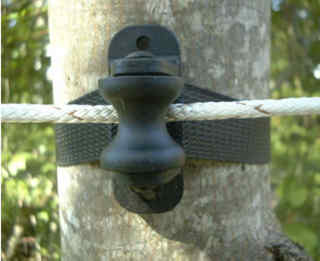 Roller Inline - Tree
