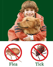 ShooTAG Canine Insect Control - Flea & Tick 