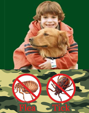 ShooTAG Canine Insect Control - Flea & Tick  - Camo