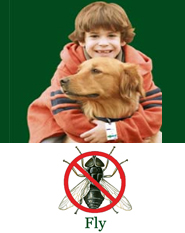 ShooTAG Canine Insect Control - Fly