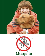 ShooTAG Canine Insect Control - Mosquito