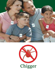 Shootag Insect Control People - Chigger Shootag Insect Control People - Chigger