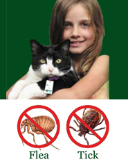 shootag_insect_control_cat_flea_tick shootag_insect_control_cat_flea_tick