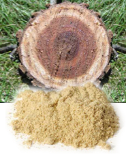 Hilton Herbs Equine Herbs & Tinctures - Slippery Elm Hilton Herbs Equine Herbs & Tinctures - Slippery Elm