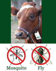 Shoo!TAG Cow Insect Control - Fly & Mosquito
