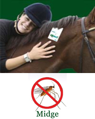 Shoo!TAG Horse Insect Control - Midge Shoo!TAG Horse Insect Control - Midge