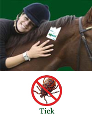 Shoo!TAG Horse Insect Control - Tick Shoo!TAG Horse Insect Control - Tick