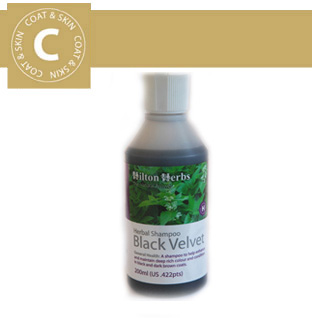 Hilton Herbs - Coat & Skin - Black Velvet Shampoo 