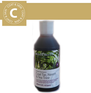 Hilton Herbs - Coat & Skin - Coal Tar Neem Tea Tree Shampoo Hilton Herbs - Coat & Skin - Coal Tar Neem Tea Tree Shampoo