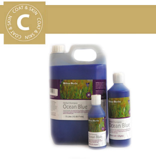 Hilton Herbs - Coat & Skin - Ocean Blue Shampoo Hilton Herbs - Coat & Skin - Ocean Blue Shampoo