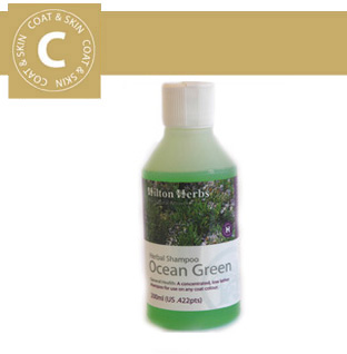 Hilton Herbs - Coat & Skin - Ocean Green Shampoo Hilton Herbs - Coat & Skin - Ocean Green Shampoo