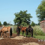 Neglected and Starved to Love and Comfort!