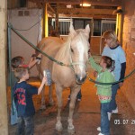 Abuse women/children/horses