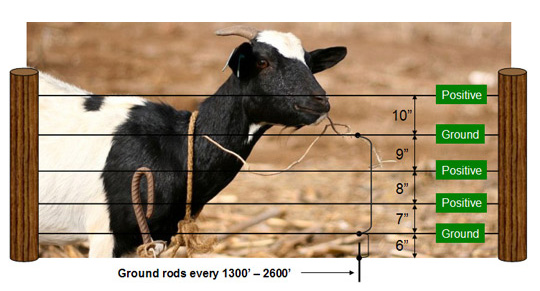 Electrobraid Fence for Goats 