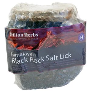 Hilton Herbs Himalayan Black Rock Salt Lick