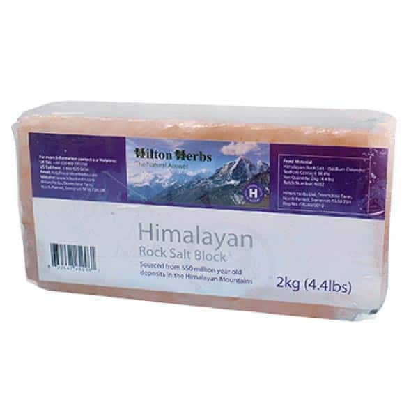 Hilton Herbs Himalayan Salt Lick - Block